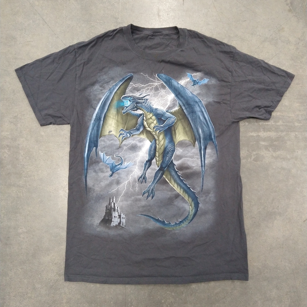 Men's Gray Dragon Graphic T-Shirt L Measurements